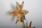 Willy Daro Style Brass Double Flower Sconce from Massive Lighting, 1970s 5