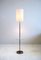 Französische Milchglas Stehlampe, 1950er 7