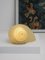 Italian Snail Floor Lamp by Sergio Camilli for Bieffeplast, 1974, Image 8