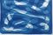 Blue Knots and Hoops, Monotipos en tonos azules en acuarela, 2021, Imagen 4