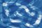 Blue Knots and Hoops, Monotipos en tonos azules en acuarela, 2021, Imagen 6