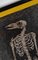 Bird Skeleton von Charlie Pi 6