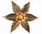 Belgian Brass Flower Wall Light by Willy Daro for Massive, 1970s 7