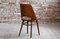 Beech Veneer 514 Dining Chairs by Radomir Hofman for TON, 1950s, Set of 4, Image 10