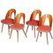 Czech Brown and Red Walnut Chairs by Antonín Šuman, 1950s, Set of 4 1
