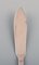Number 14 Fish Knife in Hammered Silver by Evald Nielsen, 1920s 3