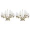 Pair of Mid-century Large Brass Chandeliers, 1960, Set of 2, Image 1