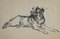 Desconocido, The Dog, original Ink, mediados del siglo XX, Imagen 1