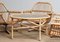 Rattan Garden Set / Lounge Set and Coffee Table, 1960s, Set of 6 5