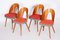 Tschechische Nussholz Stühle in Braun & Rot von Architekt Antonín Šuman, 1950er, 4er Set 8