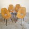 Medea Chairs by Vittorio Nobili for Fratelli Tagliabue, 1950s, Set of 4 3