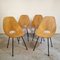 Medea Chairs by Vittorio Nobili for Fratelli Tagliabue, 1950s, Set of 4 1