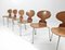 Vintage Model 3100 Ant Chairs by Arne Jacobsen for Fritz Hansen, Set of 6, Image 13