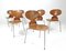 Vintage Model 3100 Ant Chairs by Arne Jacobsen for Fritz Hansen, Set of 6 2