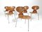 Vintage Modell 3100 Ant Chairs von Arne Jacobsen für Fritz Hansen, 6er Set 2