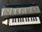 Vintage German Hohner Melodica Piano 26 with Original Case, 1960s 13