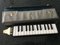 Vintage German Hohner Melodica Piano 26 with Original Case, 1960s, Image 13
