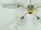Brass & Gray Painted Sputnik Spider Ceiling Lamp with 5 Glass Shades, 1950s 3