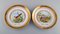 Large Dinner / Decoration Plates with Birds from Royal Copenhagen, Set of 5 5