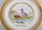 Large Dinner / Decoration Plates with Birds from Royal Copenhagen, Set of 5 3