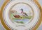 Large Dinner / Decoration Plates with Birds from Royal Copenhagen, Set of 5, Image 3