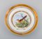 Large Dinner / Decoration Plates with Bird Motifs from Royal Copenhagen, Set of 6 4