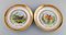 Large Dinner / Decoration Plates with Bird Motifs from Royal Copenhagen, Set of 6 5
