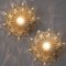 Amber Glass Wall Lights by Helena Tynell for Glashütte Limburg, Set of 2 8