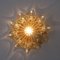 Amber Glass Sconce by Helena Tynell for Limburg 2