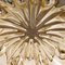 Amber Glass Sconce by Helena Tynell for Limburg 9