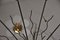 Lámpara de araña de 14 brazos y latón, atribuida a Lobmeyr, años 50, Imagen 5