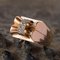 French Diamond Gold Bow Tank Ring, Image 4
