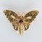 20th Century 18 Karat Yellow Gold and Green Gold Butterfly Brooch 13
