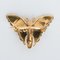20th Century 18 Karat Yellow Gold and Green Gold Butterfly Brooch 14