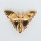 20th Century 18 Karat Yellow Gold and Green Gold Butterfly Brooch, Immagine 14