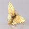 20th Century 18 Karat Yellow Gold and Green Gold Butterfly Brooch 3