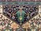 Afghan Khan Ersari Teppich aus Seide in Grün, Rot & Beige 6