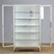 Vintage Iron and Glass Medical Cabinet, 1940s, Image 10