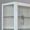 Vintage Iron and Glass Medical Cabinet, 1940s, Image 7