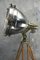 Japanese Industrial Brass, Bronze & Stainless Steel Searchlight / Tripod Floor Lamp, 1970s 9