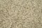 Beige Overdyed Runner Rug, Image 5