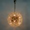 German Sputnik Dandelion 12-Light Chandelier, 1960s 7