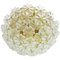 Mid-Century Floral Murano Flush Mount by Ernst Palme, Germany, 1960s, Image 1