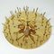 Mid-Century Floral Murano Flush Mount by Ernst Palme, Germany, 1960s, Image 7
