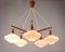 Mid-Century Swedish Teak & Satin Glass Chandelier from Asea, 1960s, Image 15