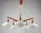 Mid-Century Swedish Teak & Satin Glass Chandelier from Asea, 1960s 8