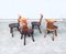 Brutalist Hard Wood Dining Chairs from Vervoort, 1960s, Set of 4, Image 11