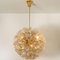 Brass Gold Murano Glass Sputnik Light Fixtures by Paolo Venini for Veart, Set of 2 12