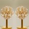 Brass Gold Murano Glass Sputnik Light Fixtures by Paolo Venini for Veart, Set of 2, Image 9