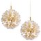 Brass Gold Murano Glass Sputnik Light Fixtures by Paolo Venini for Veart, Set of 2 1